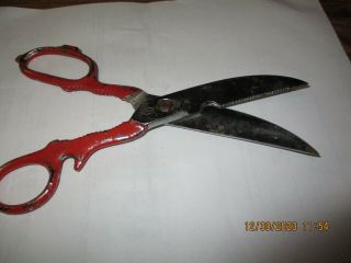 Vintage Italian made take apart shears,  Hot Drop forged,  but cut good. 2