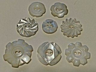 8 Vtg Mop Shaped Floral Carved Mother Of Pearl White Shell Buttons 2 - Hole