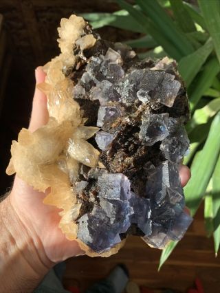 Fluorite And Calcite On Sphalerite - Minerva No.  1,  Illinois
