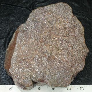 Rm69 - Old Stock - Agatized Dinosaur Bone - Utah - 3.  7 Lbs - Usa 922
