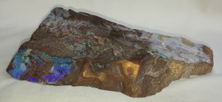 8 " Boulder Opal Natural Rough Specimen Ore Rock Matrix Chunk Surface Color Seams