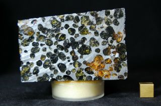 Sericho Pallasite Meteorite 724 Grams