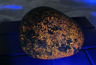 344g Yooperlite Uv Sodalite Fluorescent Pebble Crystal Mineral Rock Usa Edl116