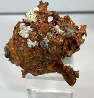 Native Silver On Copper: Ridge Mine,  Mass City,  Michigan Usa - Rare Classic