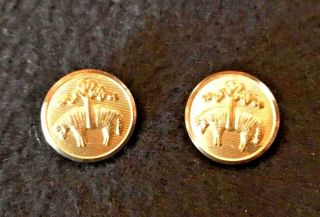 Brooks Brothers Golden Fleece Replacement Buttons Small ⅝ "