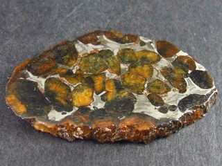 Large Sericho Meteorite Pallasite Piece Kenya 16.  4 Grams - 1.  9 "