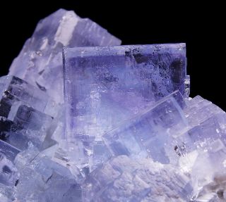 Gemmy Blue Fluorite Crystals With Phantoms From La Viesca Mine - Asturias