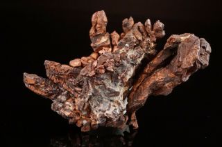 UNIQUE Native Copper Crystal Cluster CENTRAL MINE,  MICHIGAN 3
