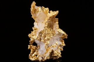 CLASSIC Native Gold with Quartz NOVA SCOTIA,  CANADA 2