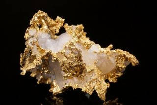 CLASSIC Native Gold with Quartz NOVA SCOTIA,  CANADA 4