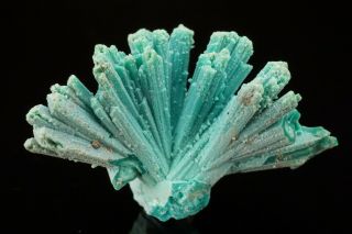 Chrysocolla Pseudomorph After Azurite Crystal Cluster Ray Mine,  Arizona