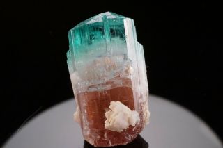 Unique Bicolor Paraiba Blue & Pink Tourmaline Crystal Pachigram Mine Afghanistan