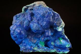 Unique Botryoidal Azurite & Malachite Crystal Bisbee,  Arizona - Ex.  Lemanski