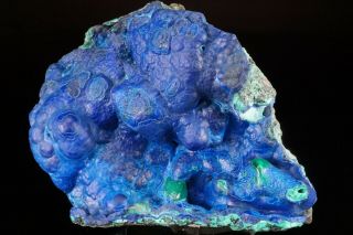 UNIQUE Botryoidal Azurite & Malachite Crystal BISBEE,  ARIZONA - Ex.  Lemanski 2