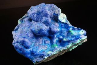 UNIQUE Botryoidal Azurite & Malachite Crystal BISBEE,  ARIZONA - Ex.  Lemanski 4