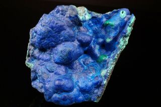 UNIQUE Botryoidal Azurite & Malachite Crystal BISBEE,  ARIZONA - Ex.  Lemanski 5