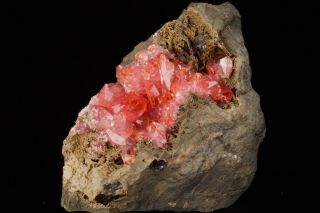 CLASSIC Rhodochrosite Crystal Cluster SANTA EULALIA,  MEXICO - Ex.  Lemanski 4