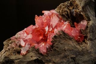 CLASSIC Rhodochrosite Crystal Cluster SANTA EULALIA,  MEXICO - Ex.  Lemanski 5