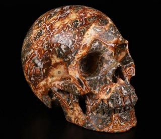 Huge 5.  0 " Leopard Skin Jasper Carved Crystal Skull,  Realistic,  Healing 012
