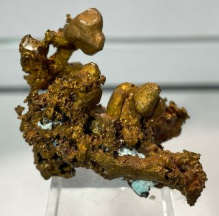 Well - Formed Native Copper Crystals: Keweenaw Peninsula,  Michigan - Classic
