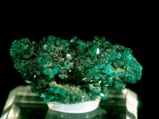 Dioptase Fine Rare Mineral Specimen Crystal,  Tsumeb Mine,  Tsumeb Namibia
