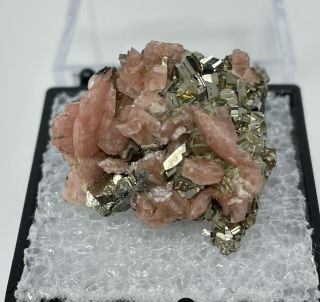 Fine Rhodochrosite On Pyrite Crystal Thumbnail :eagle Mine,  Gilman,  Colorado
