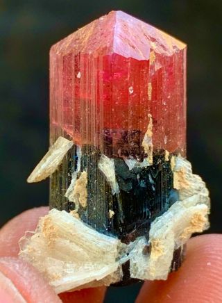 42.  0 c.  t Tourmaline Natural Terminated Bi Color Crystals Bunch Specimen. 2