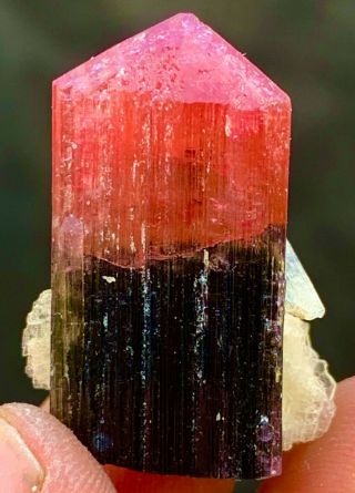 42.  0 c.  t Tourmaline Natural Terminated Bi Color Crystals Bunch Specimen. 3