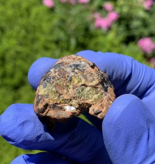 Meteorite Imilac,  Pallasite Pmg 56.  32 Grams Museum Quality Individual