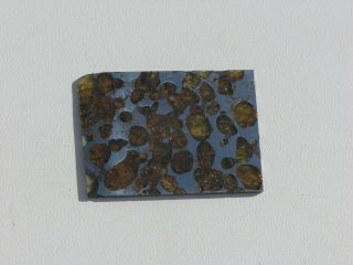 Brahin Pallasite Meteorite 12.  6 Gram