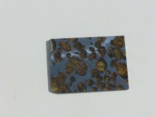BRAHIN Pallasite Meteorite 12.  6 gram 2