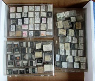 A Group Of 96 Micro Mineral,  Rock,  Crystal,  Sample Display Specimens