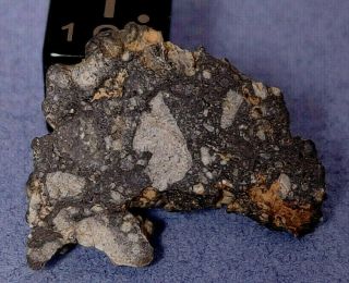 Nwa 7611 Lunar Achondrite Breccia Slice Moon Meteorite 1.  32 Gram