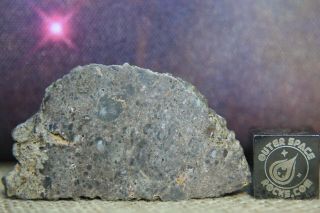 Nwa 13621 Lunar Feldspathic Breccia 9.  4g Meteorite From Moon With Hydrothermal