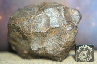 Nwa Unclassified Meteorite 80.  8 Gram Desert Polished Individual