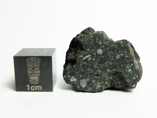 Allende Cv3 Meteorite 6.  94g Fusion Crusted Carbonaceous Endcut