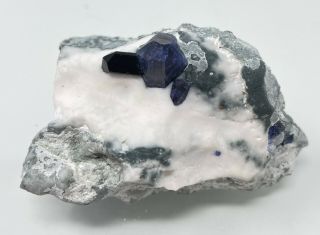 Sharp Rich Blue Benitoite Crystal With Neptunite: San Benito County,  California