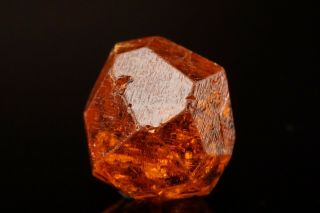 Gem Orange Spessartine Crystal LOLIONDO,  TANZANIA 4