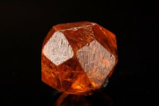 Gem Orange Spessartine Crystal LOLIONDO,  TANZANIA 5
