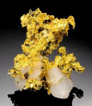 Brilliant Specimen Of Crystalline Native Gold On Quartz From China