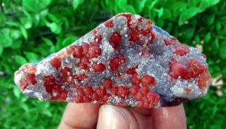 Red Fluorite Balls On Mm Quartz Mineral Specimen - A - 1