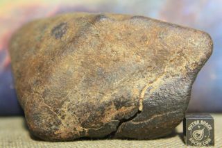 NWA Unclassified Meteorite 557 gram ablated individual with desert polish 3