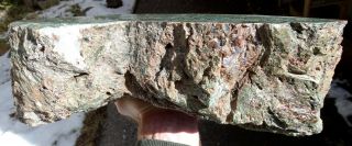 Mw: Petrified Wood GREEN LIMB CAST - Hampton Butte,  Oregon - Polished Log End 27lb 2