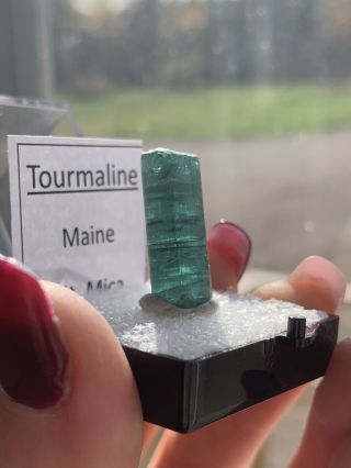 Maine Tourmaline With Nodule Termination