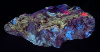Wow Colorful Sw/uv Fluorescent From The White Elephant Mine,  Ca.  109