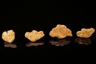 Rare Locale Native Gold Nugget Group Hampshire