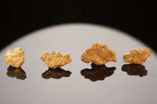 RARE LOCALE Native Gold Nugget Group HAMPSHIRE 2