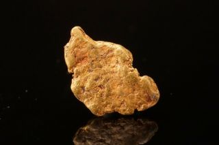 RARE LOCALE Native Gold Nugget Group HAMPSHIRE 3