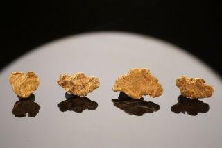 RARE LOCALE Native Gold Nugget Group HAMPSHIRE 5