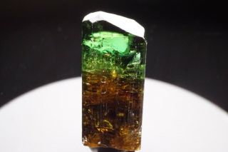 Unique Bicolor Chrome Dravite Tourmaline Crystal Commander Mine,  Tanzania